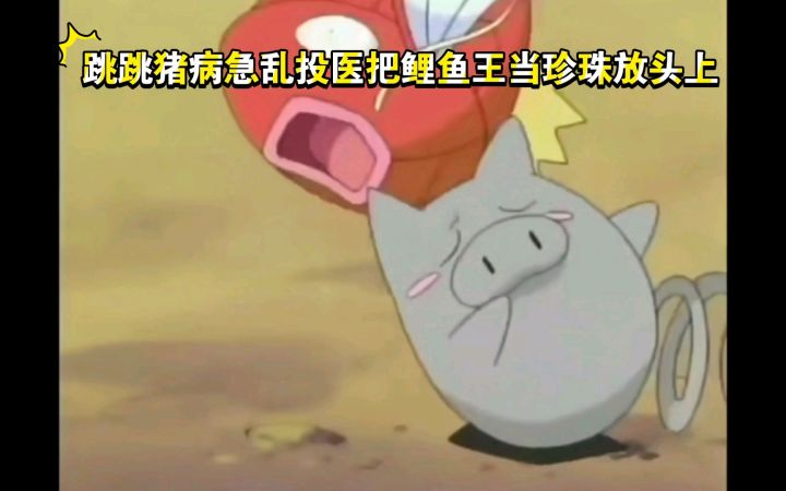 精灵宝可梦 跳跳猪病急乱投医把鲤鱼王当珍珠放头上了截图