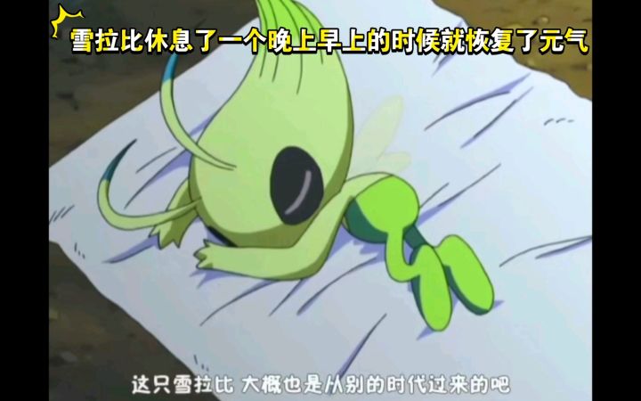 精灵宝可梦 雪拉比休息了一个晚上早上的时候就恢复了元气截图