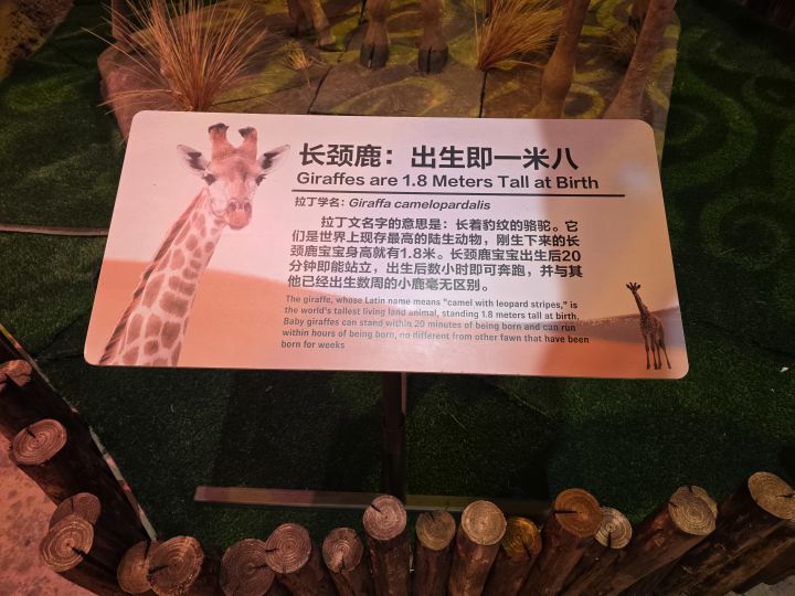 150层塔截图