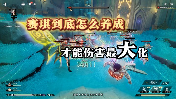 赛琪养成攻略!输出最大化截图