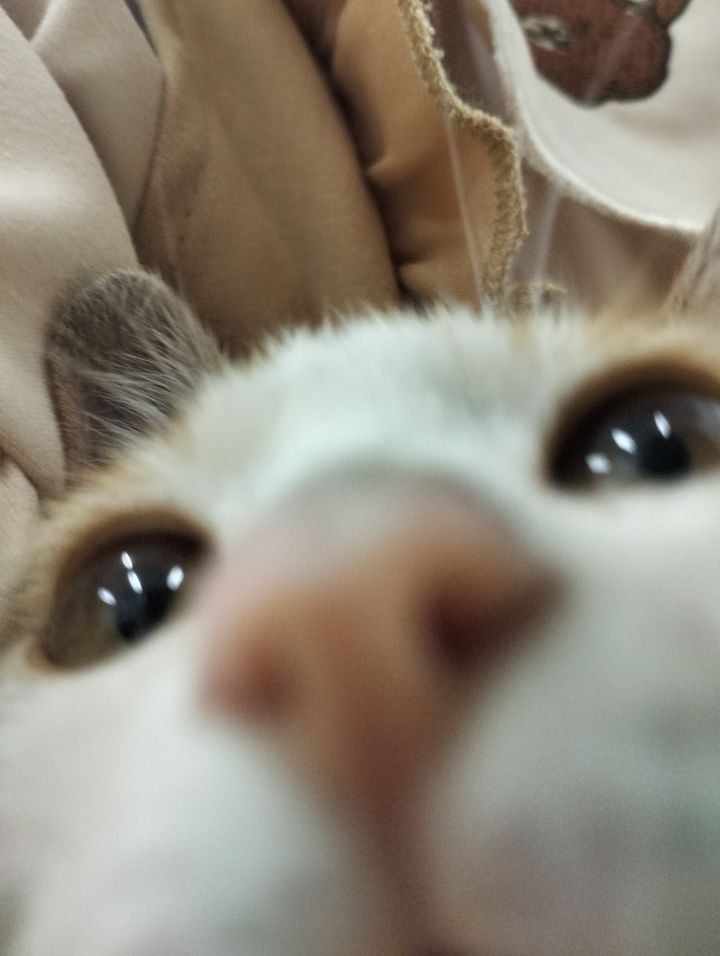 哒哒哒哒哒哒哒截图