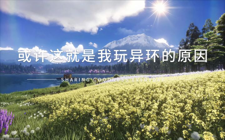这就是我玩异环的原因截图