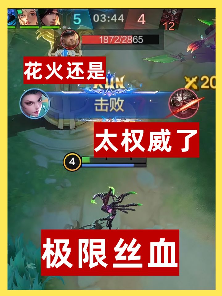 花火真是太权威了截图