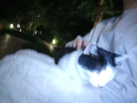 妈妈问我为什么在厕所待了半个小时